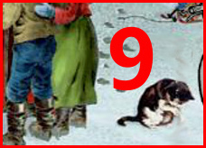 Lucka 9